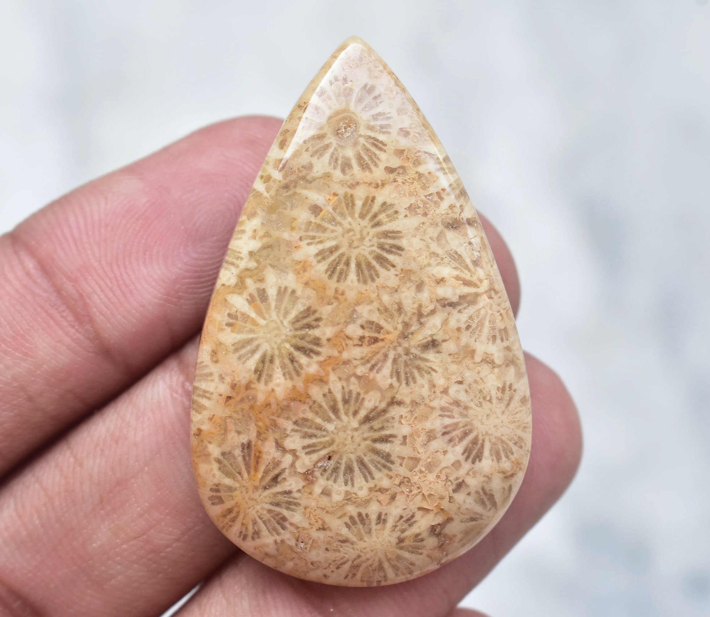 35 Carat Fossil Coral Cabochon Round Shape 28X4 MM Natural Brown Fossil Coral Cabochon Designer Rare Fossil Coral Gemstone For Jewelry G4170