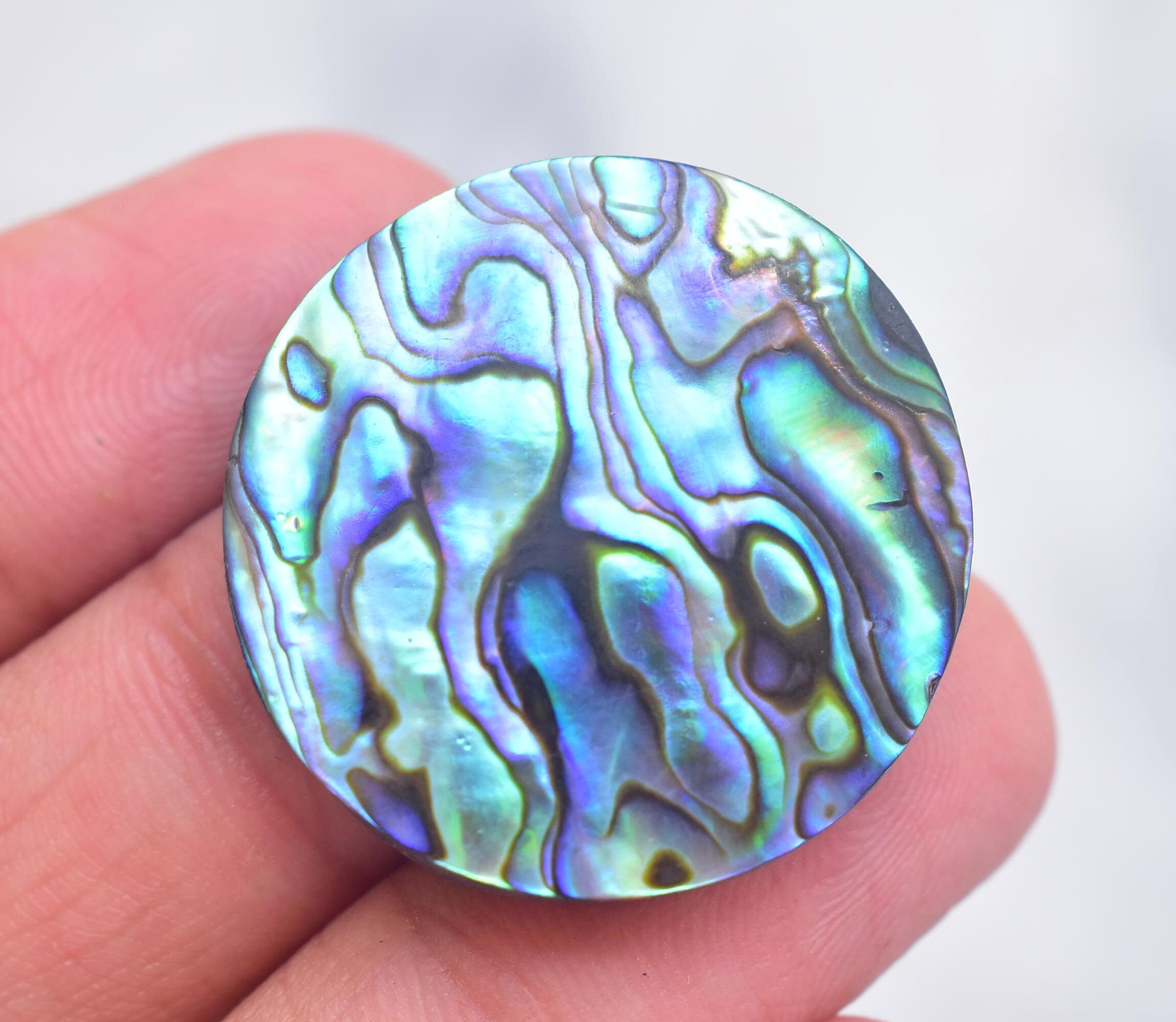 Abulón Concha Cabujón / Abulón Concha Piedra Preciosa / Forma | Etsy