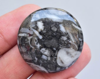 Mexican Cabbing Fossil Cabochon / Mexican Cabbing Black Fossil Gemstone / Round Shape / 50.05 Ct. / 31x6 mm. Loose Gemstone I-139