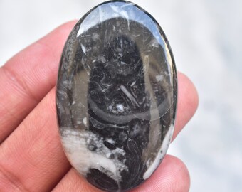 Mexican Cabbing Fossil Cabochon / Mexican Cabbing Black Fossil Gemstone / Oval Shape / 65.60 Ct. / 46x29x6 mm. Loose Gemstone D-85