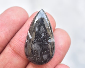 Mexican Cabbing Fossil Cabochon / Mexican Cabbing Black Fossil Gemstone / Pear Shape / 21.70 Ct. / 30x16x6 mm. Loose Gemstone D-76