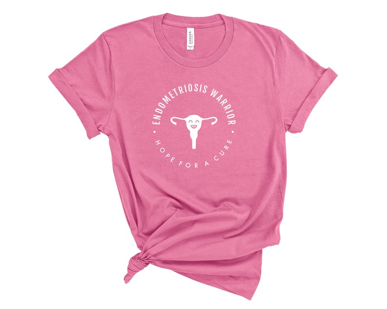 Endometriosis Warrior Hope For a Cure T-Shirt Pelvic Pain, Cramps, Uterus, Endometriosis Surgery Tee Charity Pink