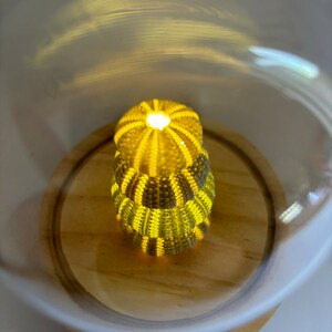 May include: A yellow and brown sea urchin lamp with a light inside, displayed under a glass dome on a wooden base.