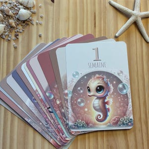 Cartes étapes bébé – 15 cartes illustrées pour suivre les premiers mois – 4 thèmes au choix : savane, jungle, forêt, mer