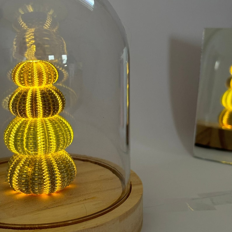 May include: A stack of three yellow and gold sea urchins are illuminated from within and displayed under a glass dome on a wooden base.