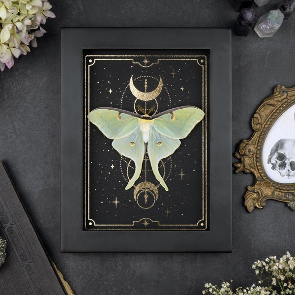 Framed Actias Luna Moon Moth: Gold Tarot Print Gothic Wall Decor