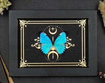 Real framed iridescent Butterfly Gold Moon Foil Print Morpho portis Shadow Box Frame Entomology Insect Display Gothic Witch Fairycore Decor