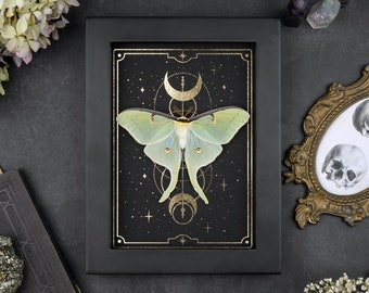 Actias luna A2 encadré véritable papillon de nuit or tarot imprimé papillon séché présentoir mural curiosités bizarreries gothique décor à la maison
