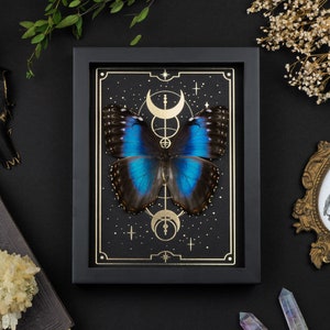 ファッションの Butterfly Blue Tarot Etsy - 趣味・スポーツ・実用