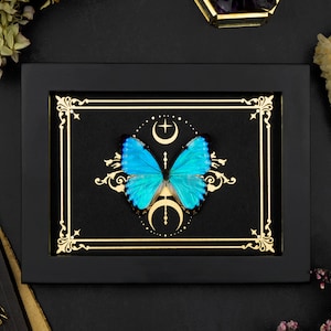 Real framed iridescent Butterfly Gold Moon Foil Print Morpho Shadow Box Frame Entomology Insect Display Gothic Witch Oddity Wall Decor Gift