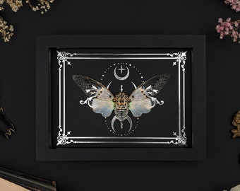 May include: Framed artwork featuring a cicada with detailed wings, set against a black background. The insect is centered within a silver decorative border and celestial accents, all encased in a black frame. The artwork has a gothic or mystical theme.