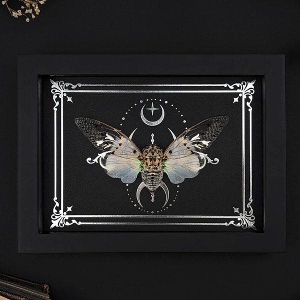 Framed Ghost Cicada Art: Silver Moon Print, Gothic Wall Decor