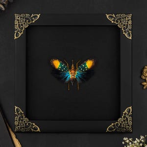 May include: A framed insect specimen with black wings and yellow and blue accents. The frame has ornate gold corners.