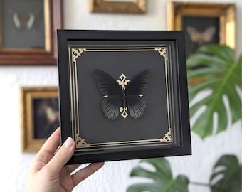 May include: A framed artwork featuring a black butterfly against a black background. The butterfly is centered within a square frame, accented with gold decorative elements. The frame is black and the artwork is displayed on a white wall.