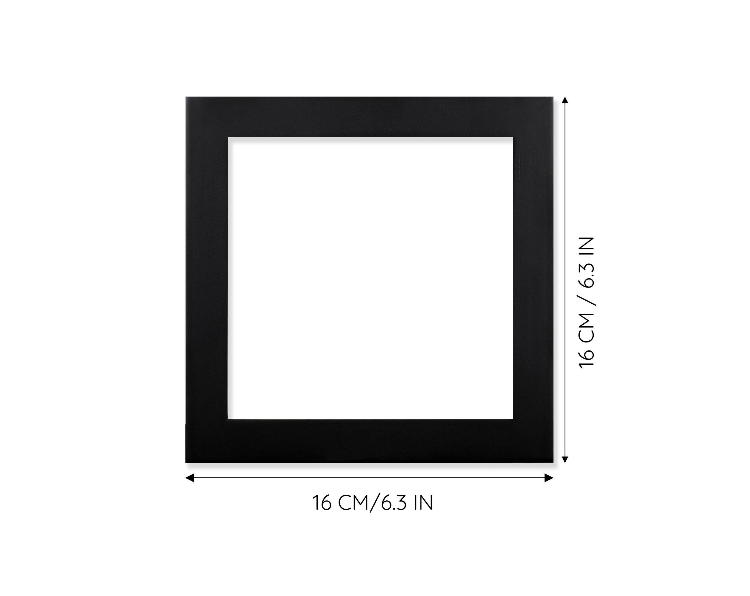 Real Blue Gold Ghost Cicada in 6x6 Inch Black Box Frame Real Blue Gold Ghost Cicada in 6x6 Inch Black Box Frame