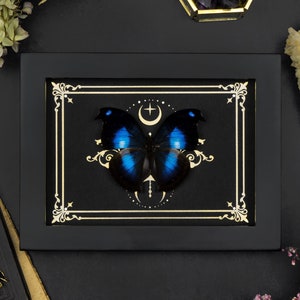 Véritable encadré papillon or lune tarot impression, Napeocels jucunda papillon ombre boîte cadre gothique esthétique sorcière décoration d&#39;intérieur