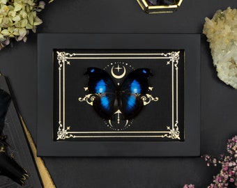 May include: A black framed shadow box with a gold ornate border and a blue butterfly specimen inside. The butterfly is centred in the box and has a crescent moon and a cross design above it.