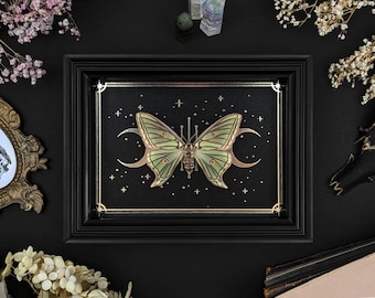Real Framed Graellsia isabellae | Spanish Moon Moth Wall Art