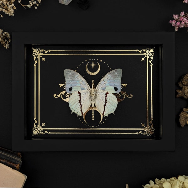 Real Framed Butterfly Shadow Box - Etsy