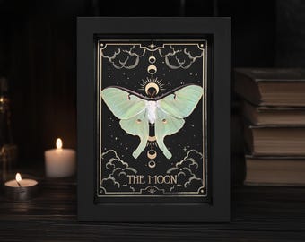 Luna Moth Actias luna in Wooden Shadow Box 6×8 inch with Tarot Print The Moon