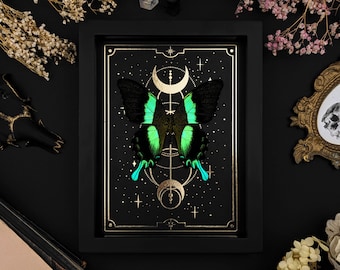 May include: A black framed print with a gold border features a green and black butterfly with a celestial design. The butterfly is surrounded by stars and a crescent moon.