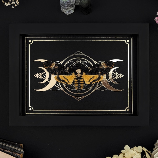 Real framed Death Head Moth Gold Foil Tarot Moon Print in black Shadow Box Frame Butterfly Wall Decor Gothic Home