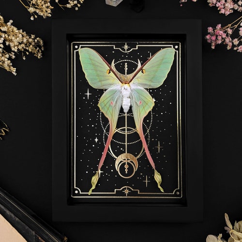 Framed Luna Moth: Gold Tarot Print Shadow Box - Gothic Wall Decor