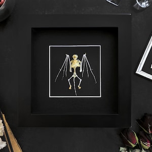 Real Bat Skeleton Bones Display Frame Gothic Witch Oddities Curiosities Anniversary Gift Dark Fairycore Decoration