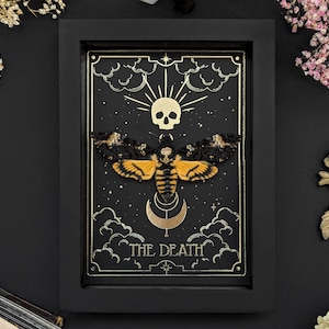Echter gerahmter Totenkopfschwärmer Gold Tarot Der Tod Acherontia Moth in Shadow Box Schmetterlingsrahmen Insekt Präparator Gotische Hexe Ästhetik