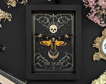 Real framed Death Head Hawkmoth Gold Tarot The Death Acherontia Moth in Shadow Box Butterfly Frame Insect Taxidermy Gothic Witch Aesthetic