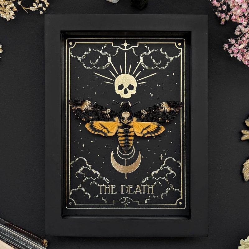 Pictures of Death Moths - Etsy UK