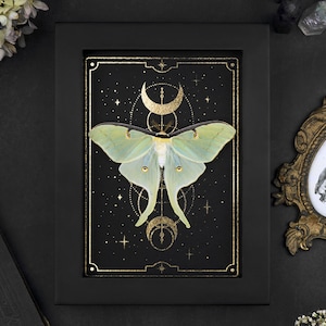 Framed Luna Moth Shadow Box: Gold Star Tarot Print Gothic Wall Decor