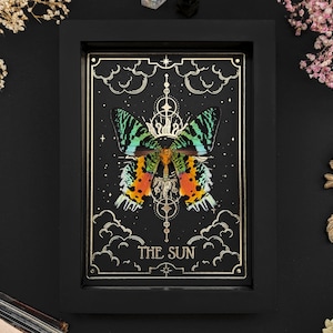 Gerahmte Motte bei Sonnenuntergang: Gold Tarot 'The Sun' Schaukasten - Gothic Kuriosität Dekor