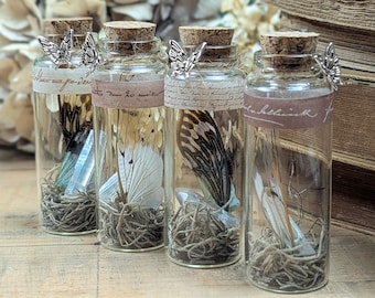Ghost Cicada Wing Bottle with Angel Aura Crystal, Handmade Fairycore Oddity Jar