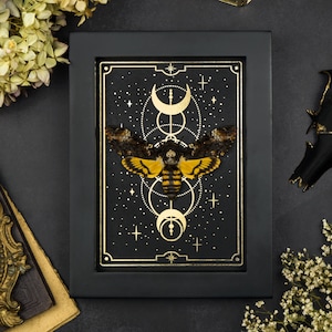 Framed Death&#39;s Head Moth Shadow Box: Gothic Victorian Home Decor