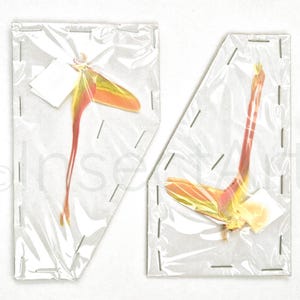 2x Actias dubernardi Luna Moths Maschio non montato carta piegato farfalla esemplare essiccato entomologia fai da te artigianato arte design hobby oggetto da collezione