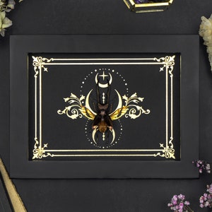 Könnte beinhalten: Eine schwarze, gerahmte Schattenbox mit einem goldenen Design, das einen Käfer und einen Halbmond zeigt. Das Design ist auf schwarzem Hintergrund mit goldenen Akzenten.