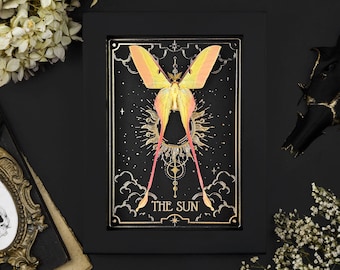Real framed Pink Luna Moth Gold Tarot The Sun Actias Moth in Shadow Box Butterfly Frame Insect Taxidermy Gothic Witch Aesthetic