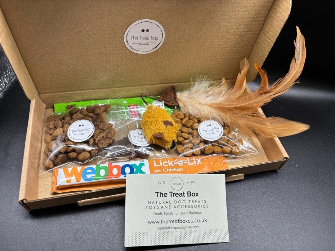 Cat Christmas Treat Box Cat Christmas Gift Cat Gift Box Cat Christmas