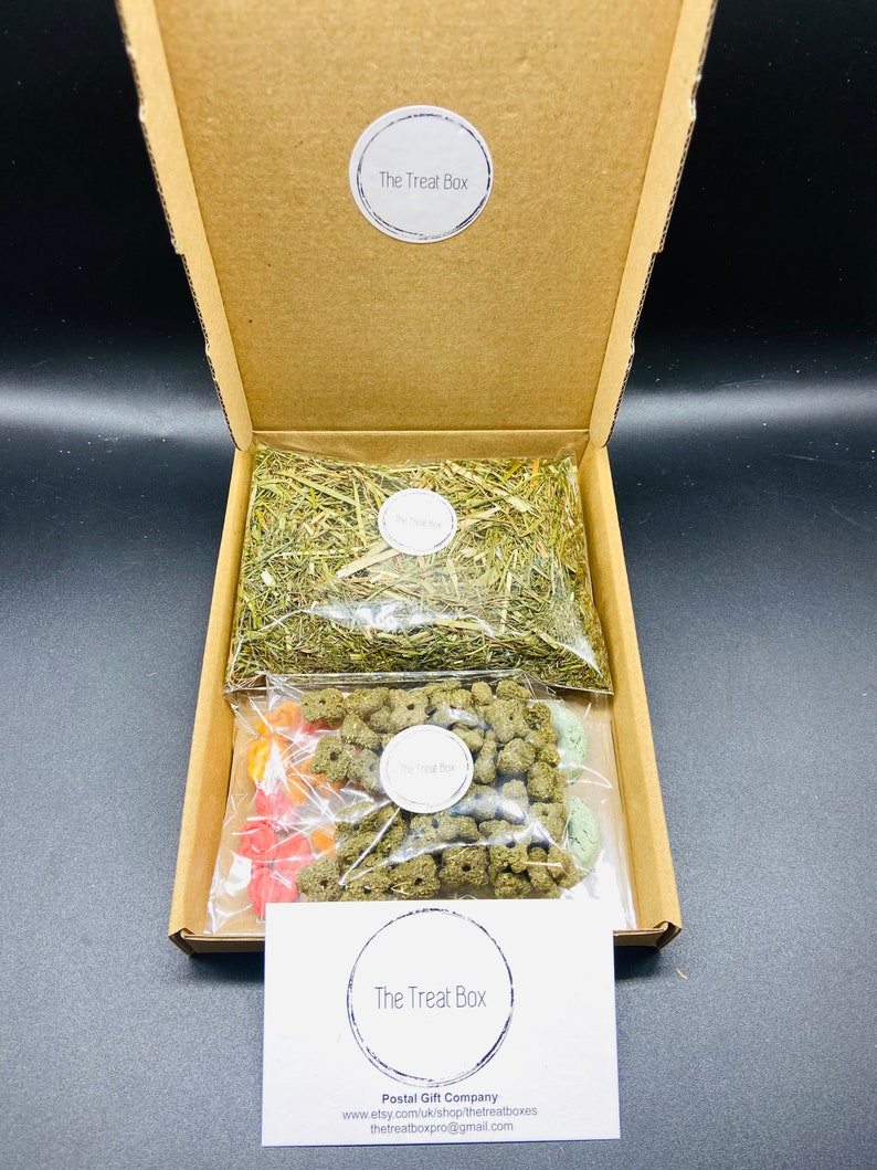 Guinea Pig Treat Box - Etsy UK - Guinea Pig Foot Print Treat Containers