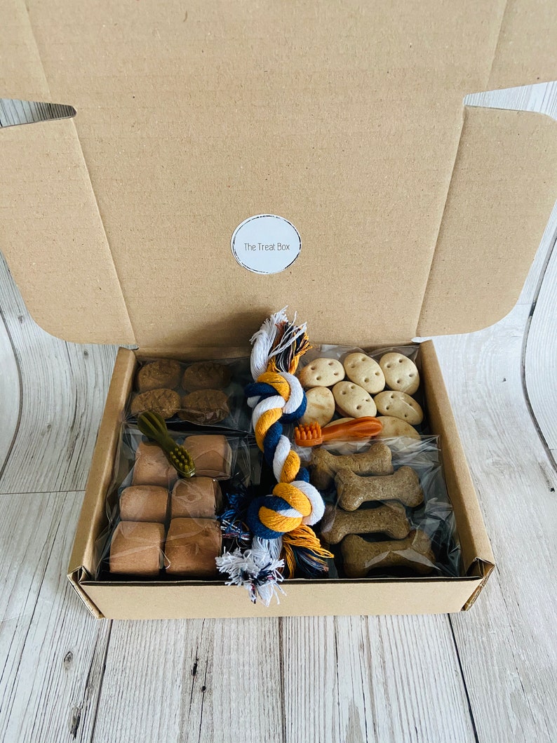 Dog gift box blanket box dog gift Dog Birthday Etsy