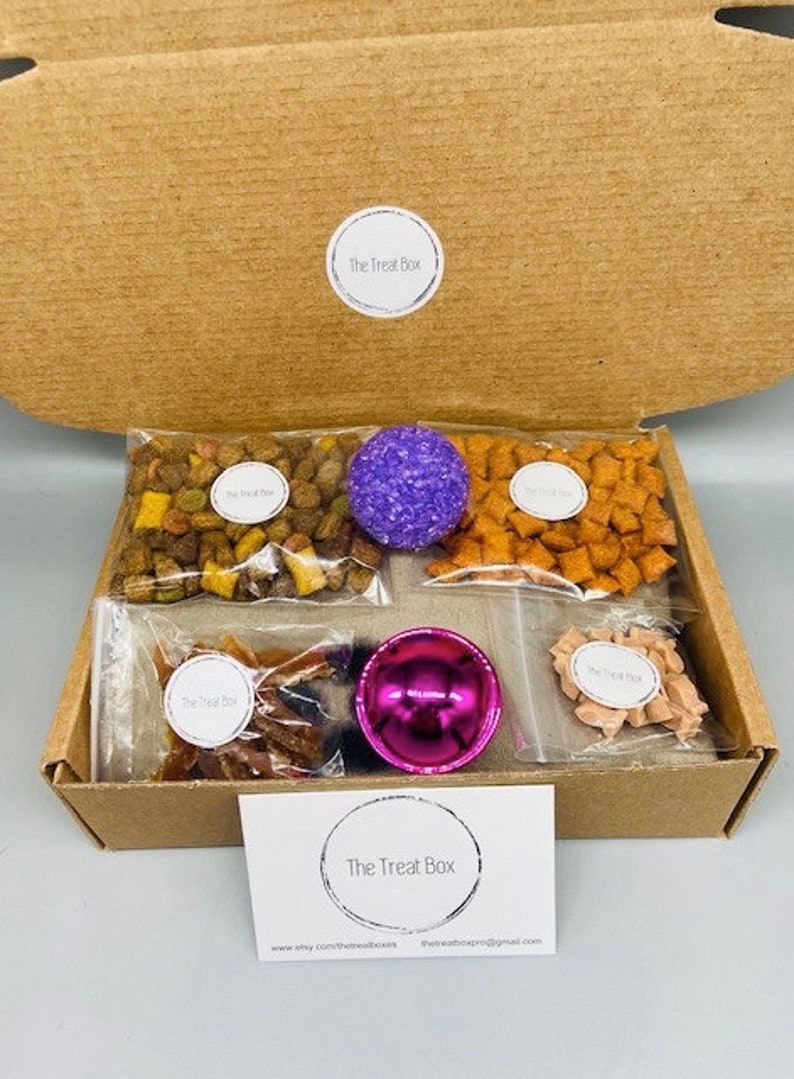 Cat Gift Box Treat Box Cat Birthday Gift Cat Gift Etsy