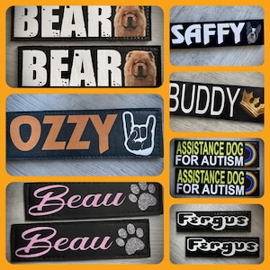 Julius K9 Type Harness Collar Custom Patch Personalised/Customised High Quality. Let us make your ideas come to life on a patch!