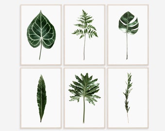 Botanical Print Set, Set of 6 Prints, Prints Set Wall Art, Green Wall Art, Palm Leaf Print, Tropical Leaf Print, Poster, Prints, Leaf Print