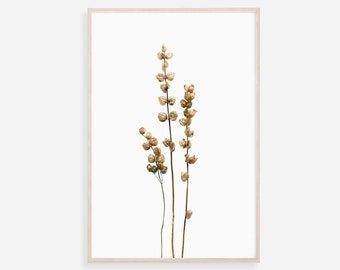 Blumen Druck, Botanische Drucke, Wildblumen Fotografie, Florale Kunst, Blumen Kunst Druck, Rustikale Kunst, Botanische Wandkunst, Wildblumen Druck