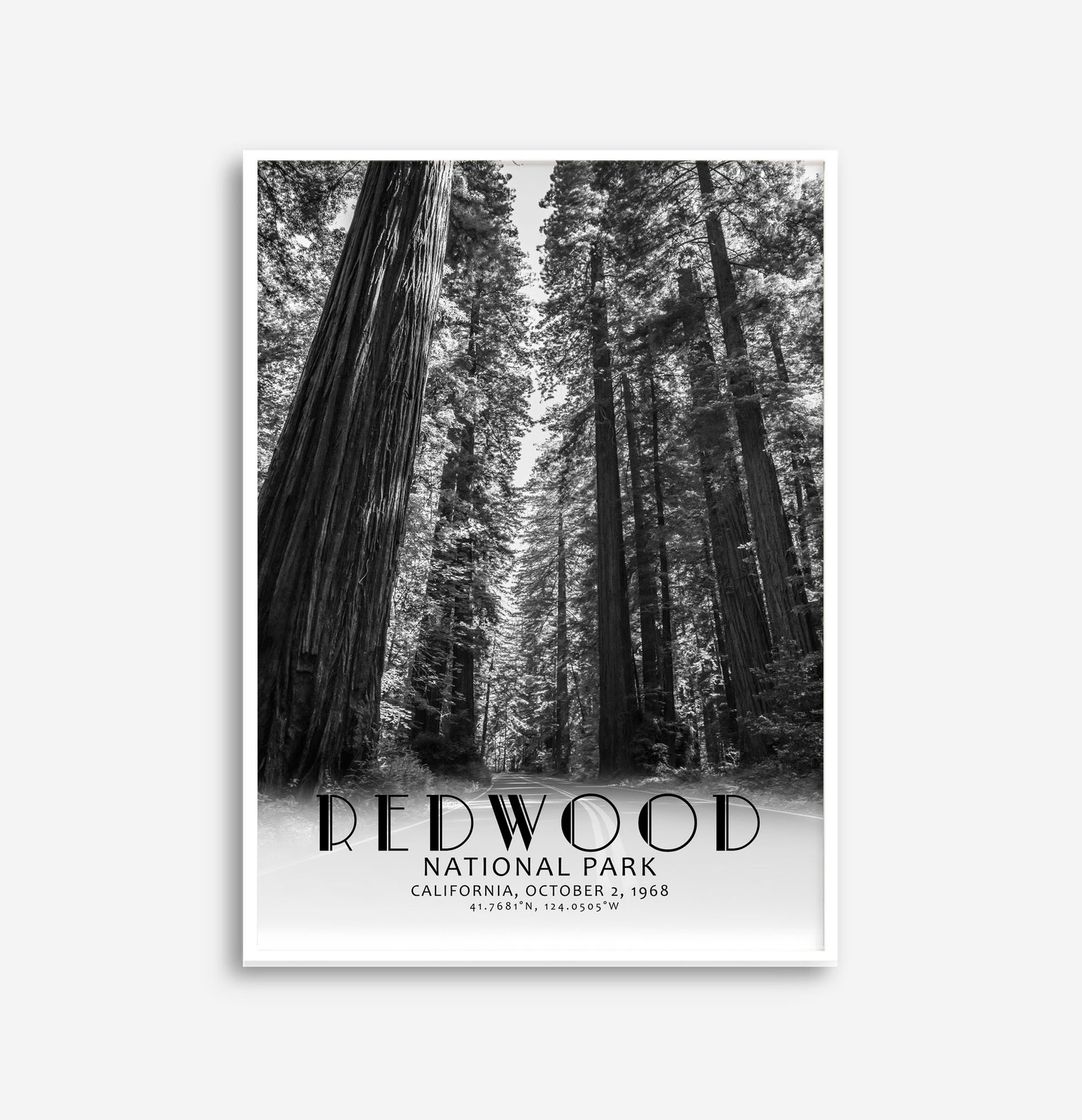 Redwoods National Park Poster Redwoods National Park Print Etsy