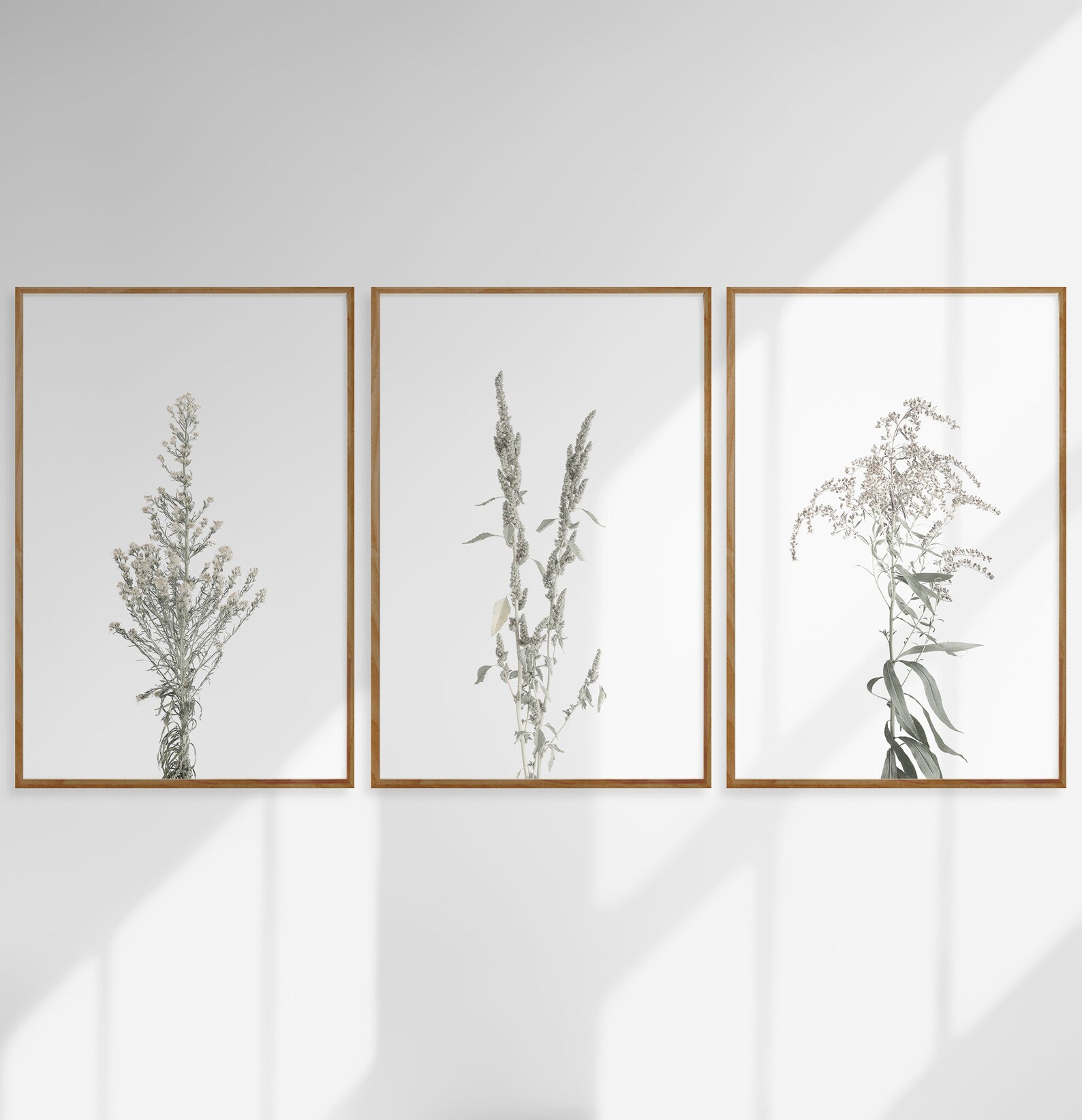 Botanical Wall Art Set of 3 Prints Wildflower Prints Floral Etsy
