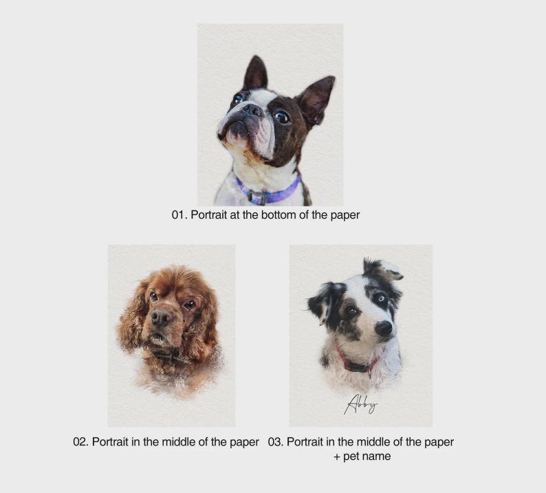 May include: Three digital pet portraits on a light background. The first shows a Boston Terrier with a purple collar. The second is a brown spaniel. The third is a black and white dog with a red collar and the name Abby written below it.