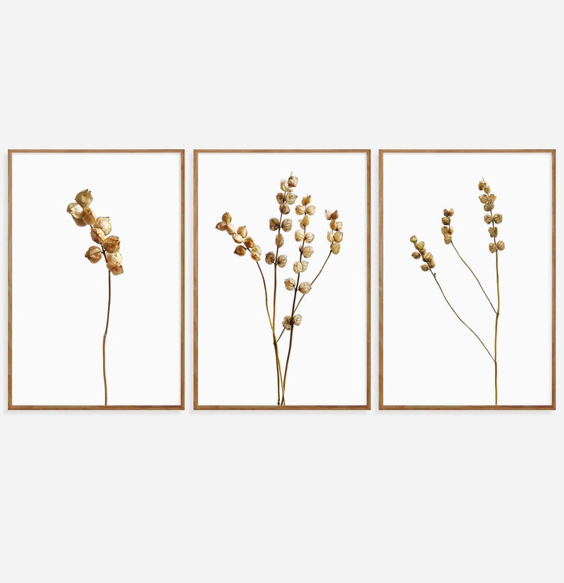 Botanical Wall Art Set of 3 Wall Art Flowers Wall Art Etsy