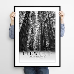 Redwoods National Park Poster, Redwoods National Park Print, Redwoods National Park Art, California Poster, Redwoods Photo Travel Poster